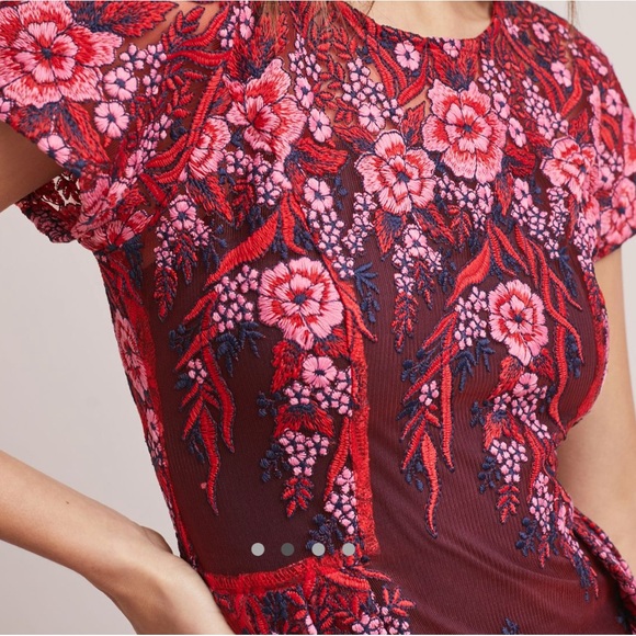 Anthropologie Rosa Lace Dress - Picture 2 of 11